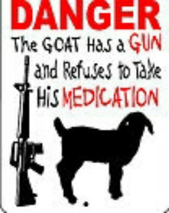 dangerous unmedicated goat with a gun