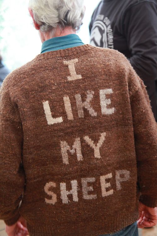 i like my sheep