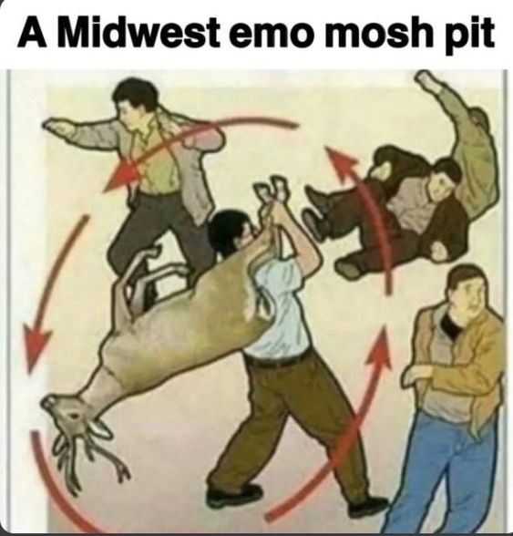 realest midwest mosh pit